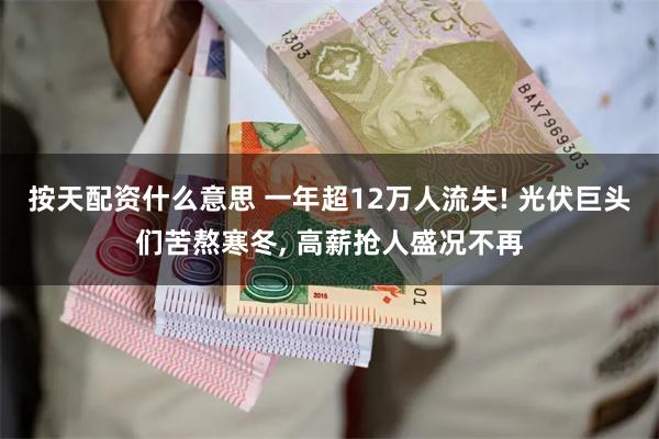 按天配资什么意思 一年超12万人流失! 光伏巨头们苦熬寒冬, 高薪抢人盛况不再