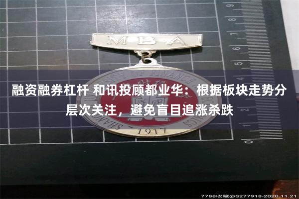 融资融券杠杆 和讯投顾都业华：根据板块走势分层次关注，避免盲目追涨杀跌